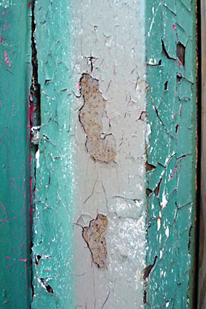 flake-P1000234
