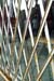 fence-P1000217